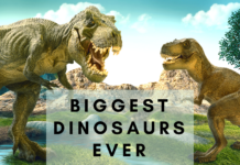 Biggest Dinosaurs ever- earthlyfacts.com