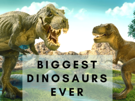 Biggest Dinosaurs ever- earthlyfacts.com