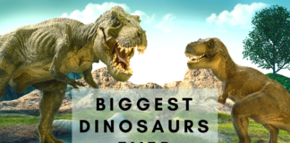 Biggest Dinosaurs ever- earthlyfacts.com