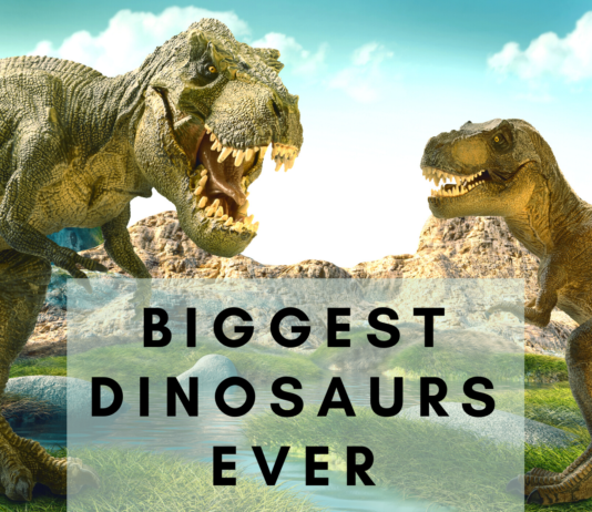 Biggest Dinosaurs ever- earthlyfacts.com