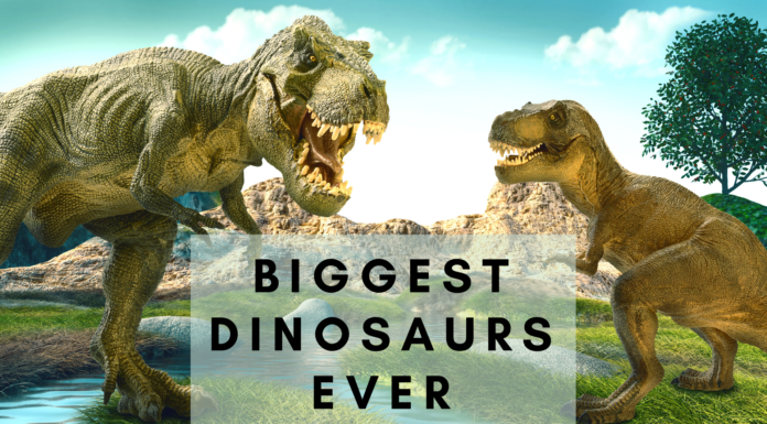 Biggest Dinosaurs ever- earthlyfacts.com